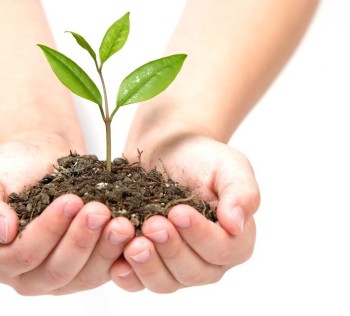 tree-growing-in-hands-1104x641